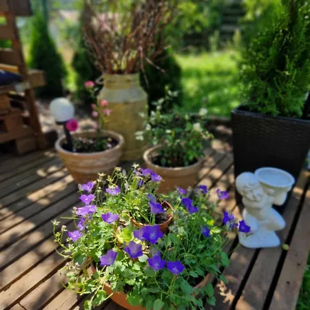 W Jersey Przy Plazy Wielen