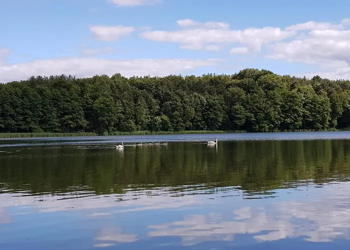 W Jersey Przy Plazy *