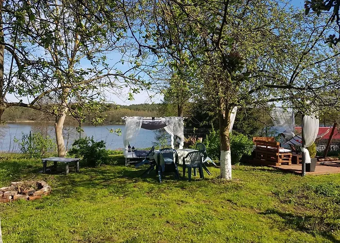 W Jersey Przy Plazy Wielen