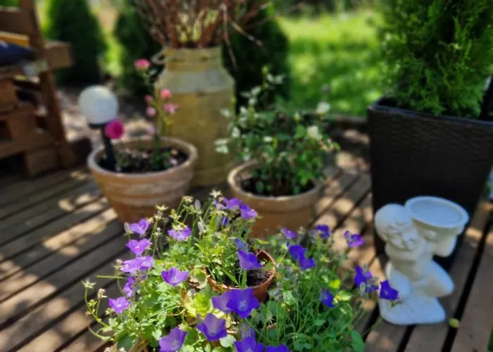 W Jersey Przy Plazy Wielen