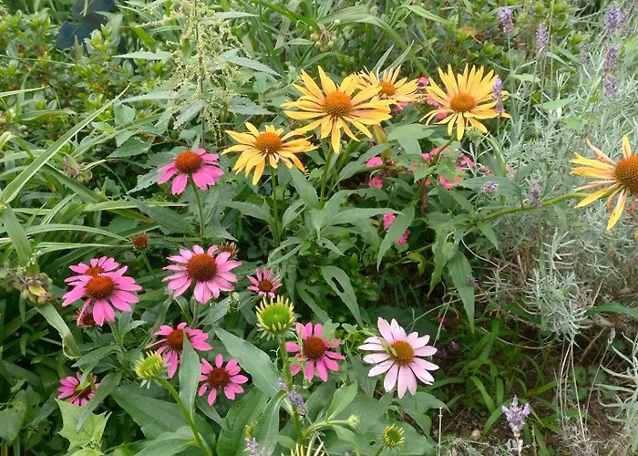 Appartamento W Jersey Przy Plazy Wielen