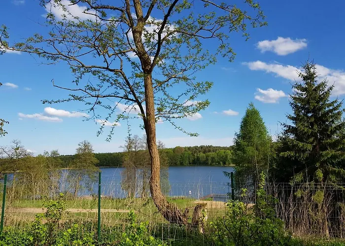 W Jersey Przy Plazy Apartment *